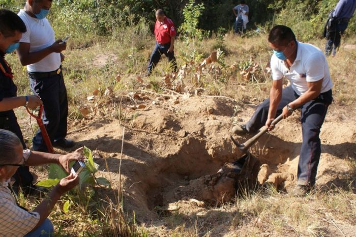 El Colectivo Solecito reporta el hallazgo de una nueva fosa clandestina en Veracruz
