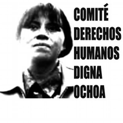 Comité Digna Ochoa denuncia en Ginebra ante la ONU la grave situación de DH en México
