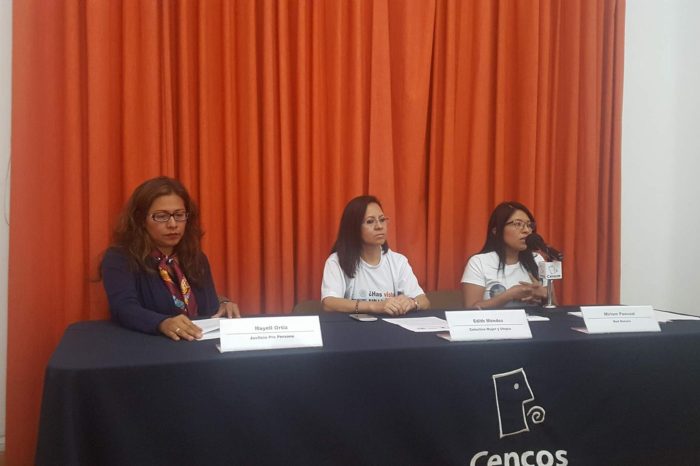 Boletín de prensa: ONG de Tlaxcala presentan nueva solicitud de Alerta de Violencia Género.