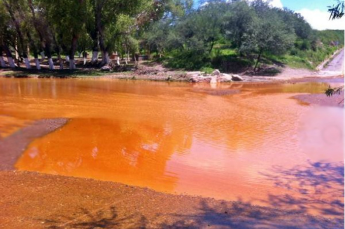 Alimentos, fauna y agua envenenados, los peligros con los que se vive tras derrame en Río Sonora