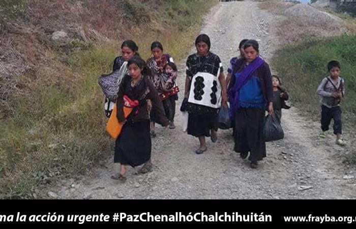 Acción Urgente: Violencia generalizada en los municipios de Chalchihuitán y Chenalhó