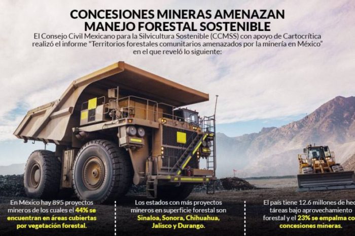 Las mineras amenazan bosques y selvas de México: estudio; hay 895 proyectos, 44% sobre vegetación