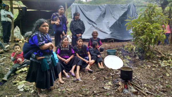 Cuatro niños de familias desplazadas en Chiapas murieron por hambre y frío; edil pide ayuda