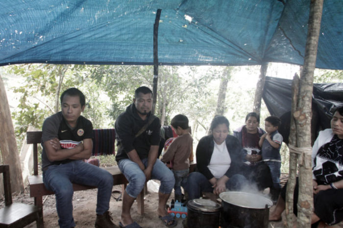 Ya que me maten, estoy cansado: violencia sigue asfixiando a desplazados que retornaron en Chiapas