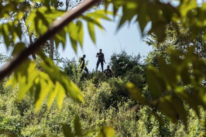 México, cuarto país más peligroso para ecologistas