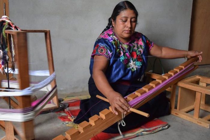 Mujeres sembrando la vida, la cooperativa de Chiapas que empodera a nuevas generaciones