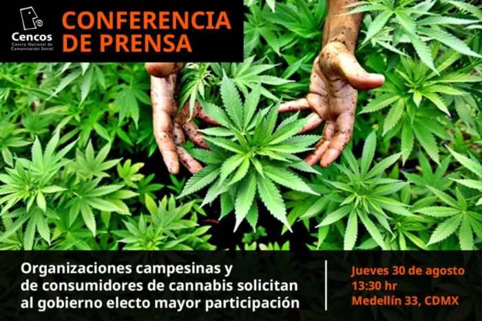 Conferencia de prensa: Campesinos y de consumidores de cannabis solicitan al gobierno electo mayor participación