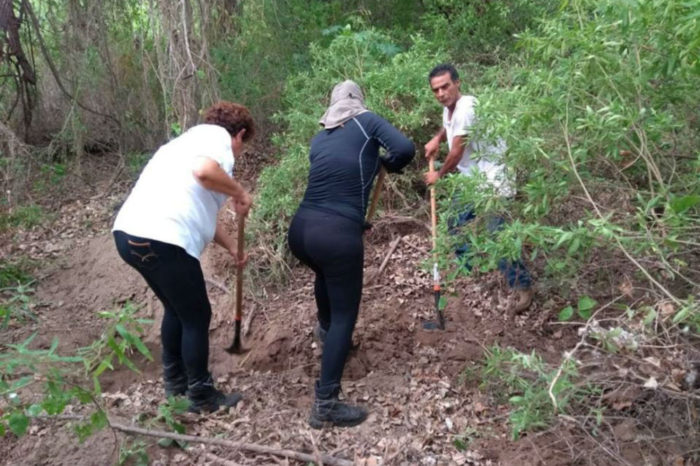Rastreadoras hallan cinco osamentas en fosas clandestinas en Sinaloa