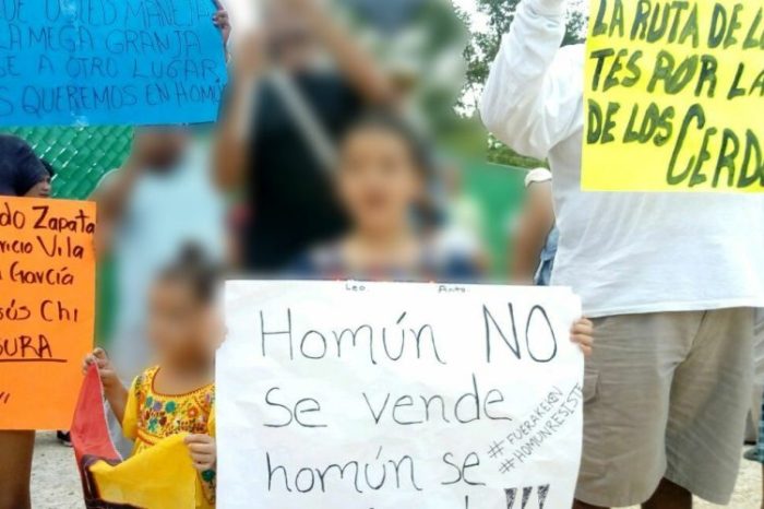 Niños ganan batalla a granja de cerdos en Yucatán: juez suspende sus operaciones