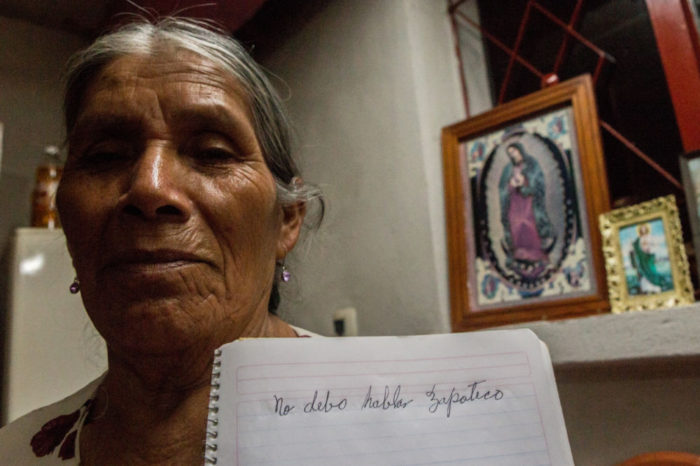 Resiste la poscolonia: un retrato de las lenguas maternas en México
