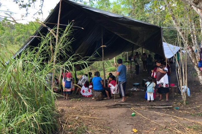Desplazados de Guerrero piden garantías de seguridad y ayuda humanitaria