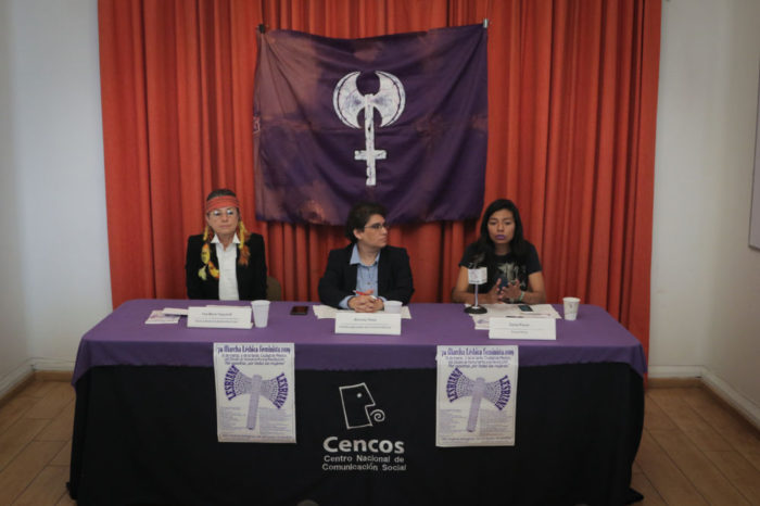 Pronunciamiento: Comité organizador de la marcha lésbica