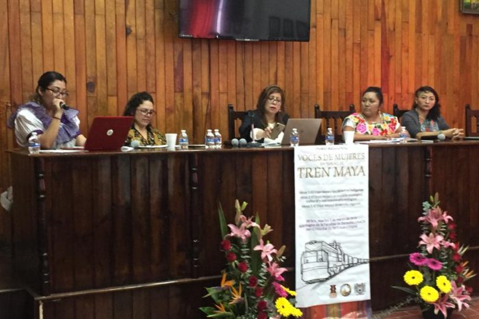 Mujeres activistas indígenas cuestionan consulta del gobierno para construir Tren Maya
