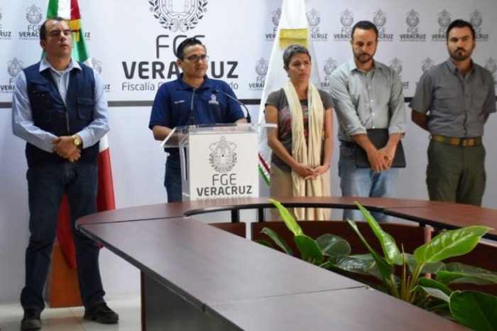 Autoridades localizan al menos 36 fosas clandestinas en un predio de Veracruz