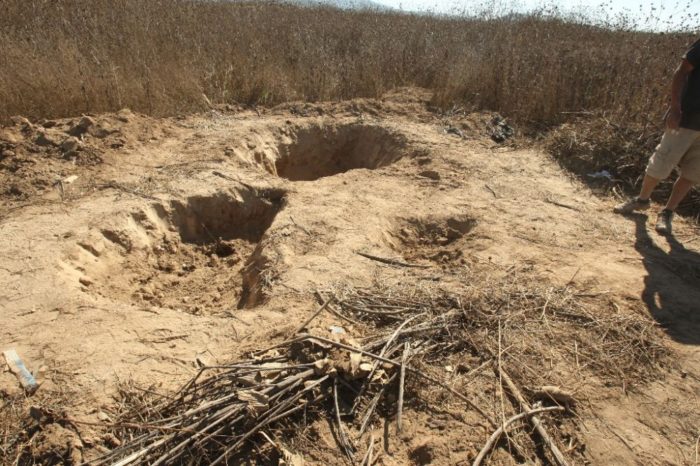 Localizan 45 cuerpos en fosas clandestinas en Sonora y Jalisco