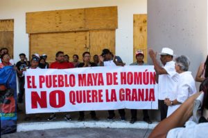 Comunicado: Amparo a favor de Homún, relevante para pueblos mayas