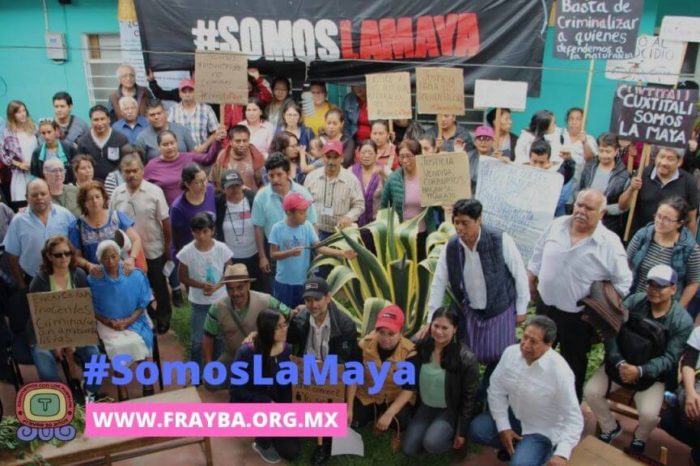 En Chiapas se criminaliza a quienes defienden el medio ambiente