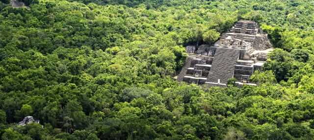 Tren Maya atravesará y amenazará dos reservas de la biósfera en Quintana Roo y Campeche
