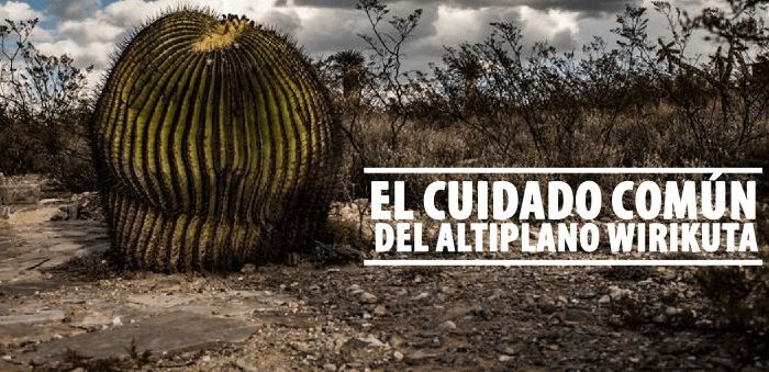 Excluyen a wixárikas de decisiones sobre megaproyectos y problemática del Altiplano Wirikuta en San Luis Potosí