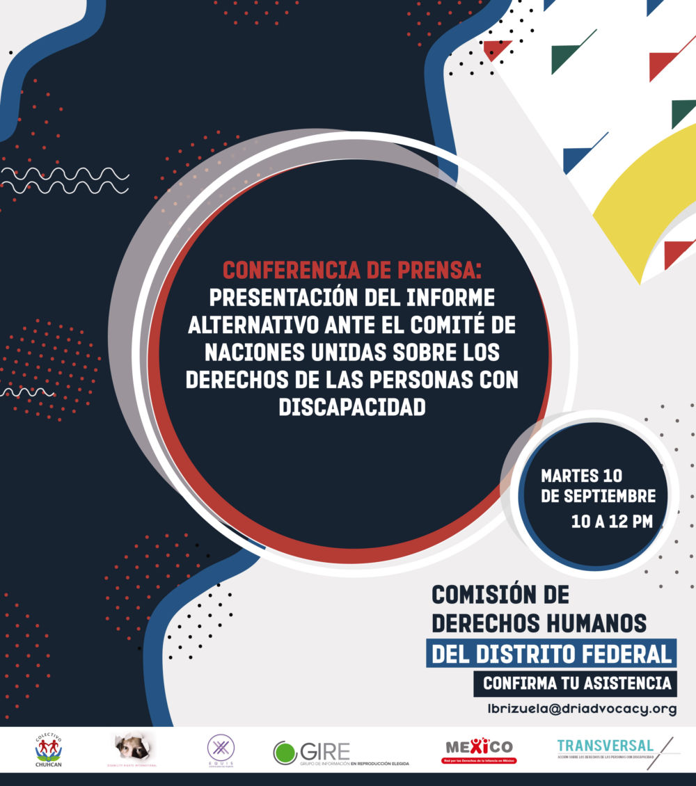 Presentación del informe alternativo ante el comité de Naciones Unidas sobre los derechos de las personas con discapacidad