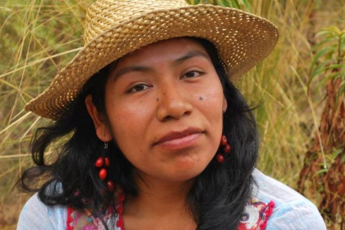 Desaparece defensora de los bosques de la Mixteca oaxaqueña