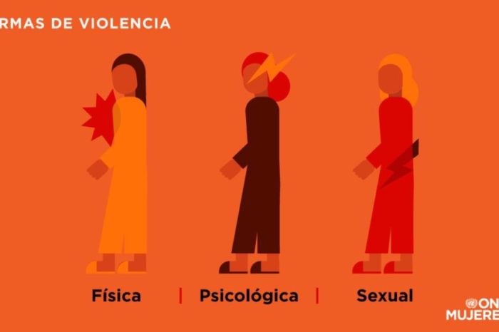 El rol de la policía en la reducción de la violencia contra las mujeres