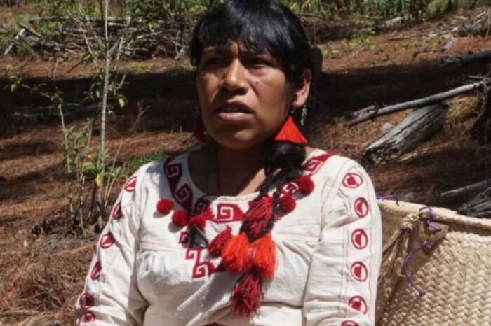 ONU emite acción urgente por 5 desaparecidos en Oaxaca entre los que se encuentra la activista Irma Galindo