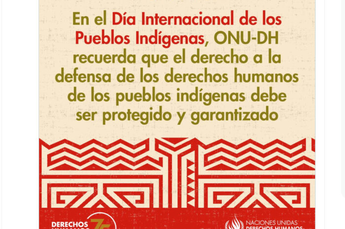 Recuerda ONU-DH asesinatos y desapariciones de 46 defensores indígenas en México