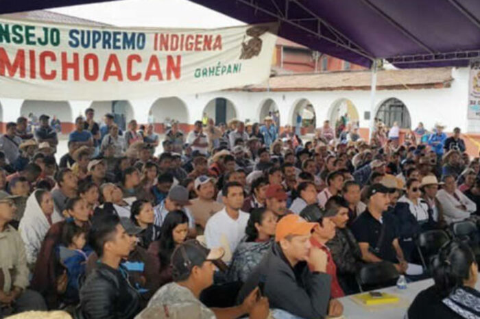Comunidades de Michoacán se declaran en alerta máxima frente a amenazas de desaparición