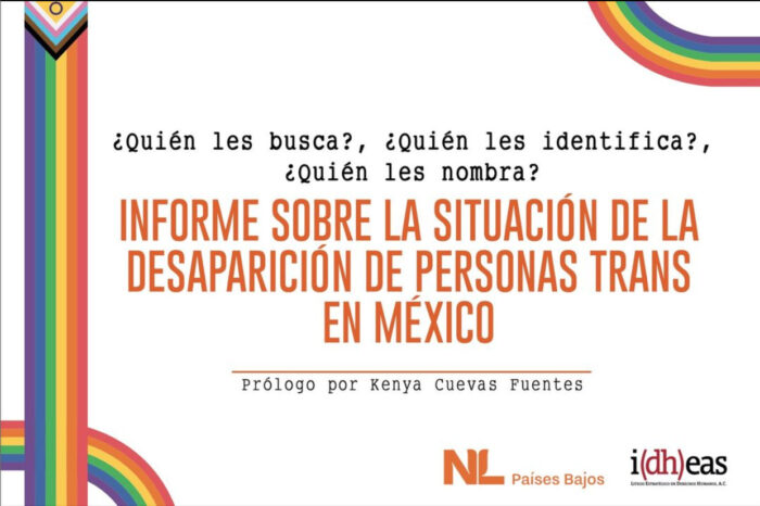 Informe: ¿Quién les busca? ¿Quién les identifica? ¿Quién les nombra? Informe sobre la situación de la desaparición de personas trans en México y las violencias ejercidas en su contra